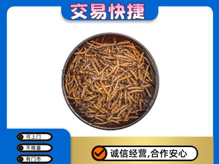通化回收散虫草